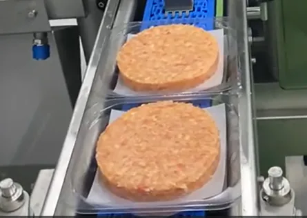 Hamburguesas sobre papel en bandejas, en la cinta transportadora de una máquina RM Sertec